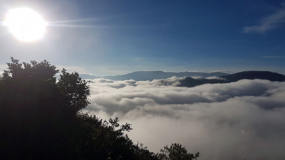 Sagada Sea of Clouds